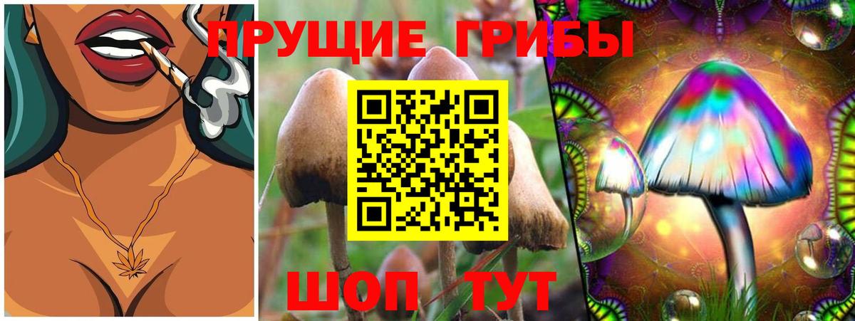 Псилоцибиновые грибы GOLDEN TEACHER  Вход с VPN  Отрадный 